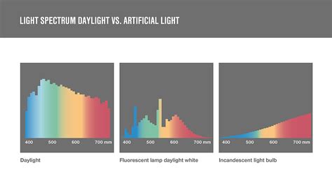 Artificial Light Vs Daylight The Differences Insights By Lamilux Artificial Light Vs Daylight The Differences Insights By Lamilux