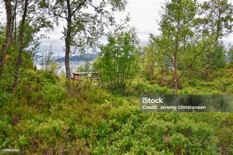 Aselund Hiking From Sukkertoppen The Sugar Top Trail Views Coast And Aselund Hiking From Sukkertoppen The Sugar Top Trail Views Coast And