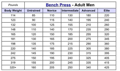 Average Bench Press By Age Weight Gender And Experience Level 2023