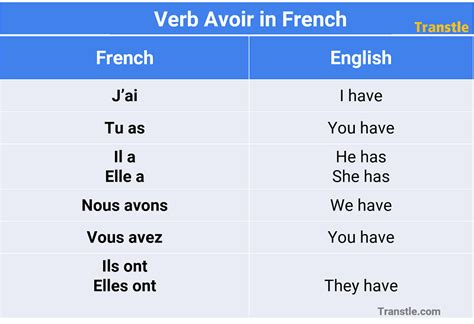 Avoir in French Explained