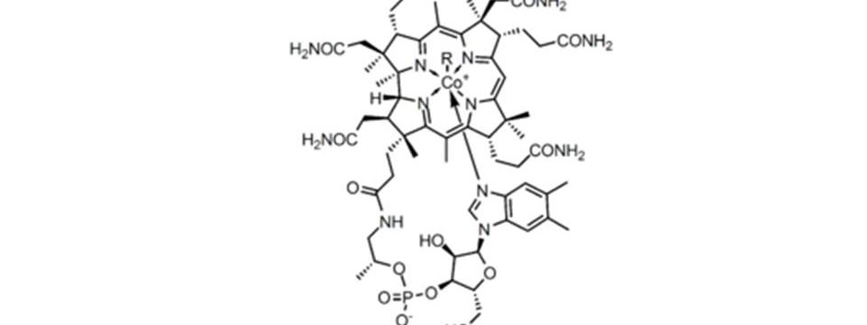 B12 Methylcobalamin Vs Cyanocobalamin