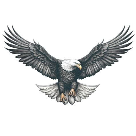 Bald Eagle In Flight Tattoo 50 Amazing Perfectly Place Eagle Tattoos Bald Eagle In Flight Tattoo 50 Amazing Perfectly Place Eagle Tattoos