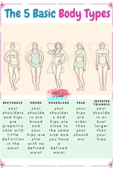 Basic Female Body Types Artofit