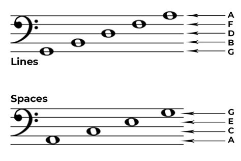 Master the Bass Clef and Notes: Your Guide to Music Mastery