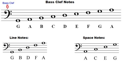 Bass Clef Notes Guide