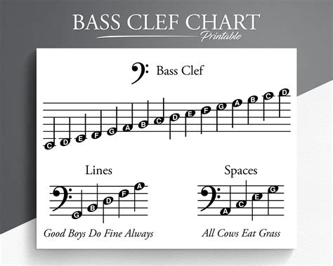 Mastering Bass Cleff Notes: Your Ultimate Guide for Musicians