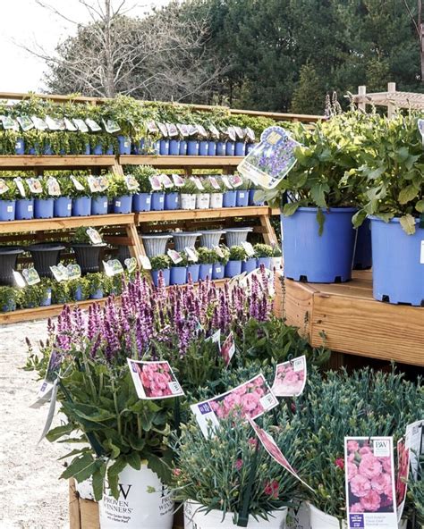 Bast Brothers Garden Center Mullica Hill