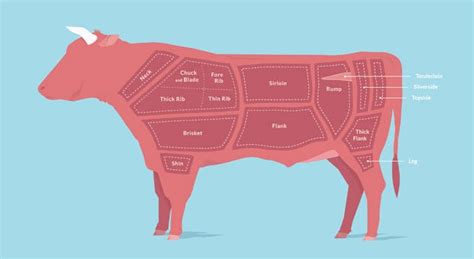 Bbq Anatomy 101 Know Your Brisket Texas Monthly