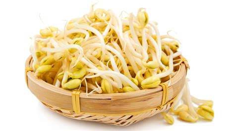 Bean Sprouts Where To Buy