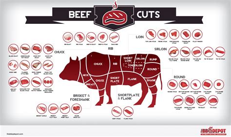 Beef Cuts Chart Locations Diagrams Amp Cooking Tips For All Cuts