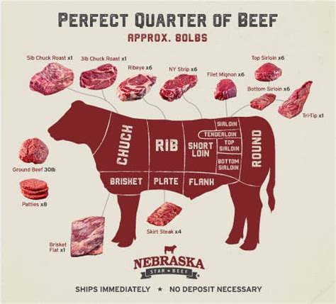 Beef Cuts Guide F N Sharp Blog Beef Cuts Guide F N Sharp Blog