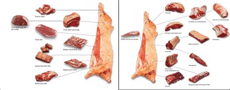 Beef Subprimal Cuts How Much Meat To Expect From A Beef Animal Beef Subprimal Cuts How Much Meat To Expect From A Beef Animal