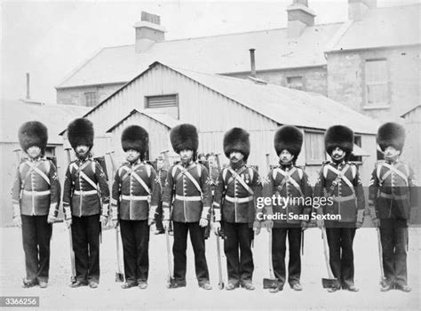 Beggars Bush Photos And Premium High Res Pictures Getty Images