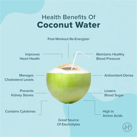 Benefits Of Coconut And Coconut Water At Mike Fahey Blog