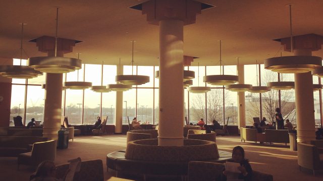 5 Ways Rosenthal Library