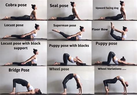 Best Back Stretches