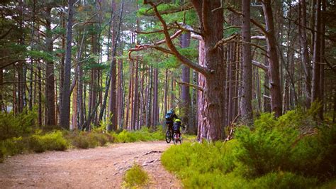 Best Bike Trails For Beginners On Bra Island My Island Bra Best Bike Trails For Beginners On Bra Island My Island Bra