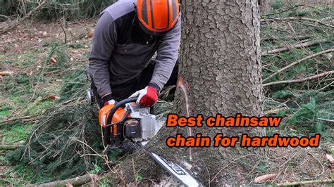 Top 10 Best Chainsaw Chain Options for Cutting Power and Durability