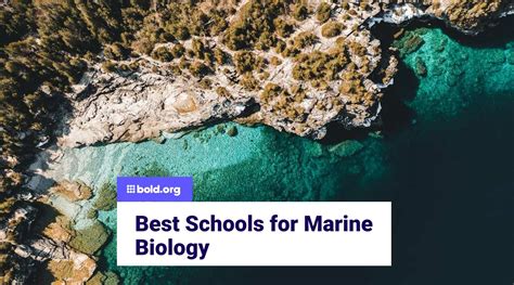 Best Colleges For Marine Biology In The U S In 2026 Bold Org