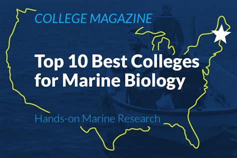 Best Colleges For Marine Biology Marine Biology Colleges