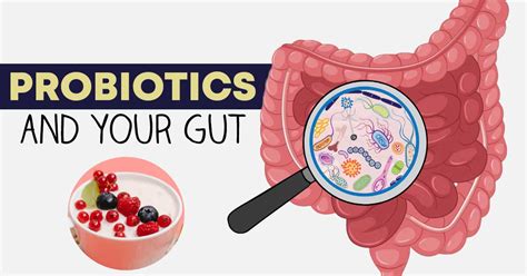 Best Probiotic For Constipation And Gut Health In 2025 Best Probiotic For Constipation And Gut Health In 2025