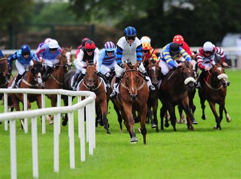 Best Professional Horse Racing Tips Best Professional Horse Racing Tips