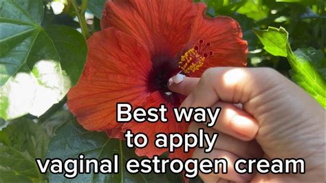 Best Way To Apply Vaginal Estrogen Cream Youtube Best Way To Apply Vaginal Estrogen Cream Youtube
