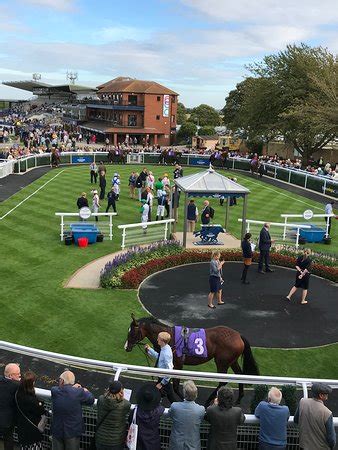 Beverley Racecourse 2026 All You Need To Know Before You Go With Reviews Beverley Racecourse 2026 All You Need To Know Before You Go With Reviews