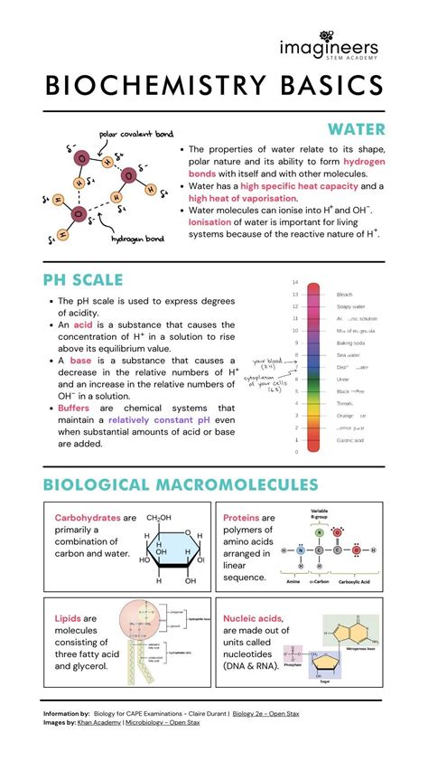 Biochemistry Lessons Blendspace