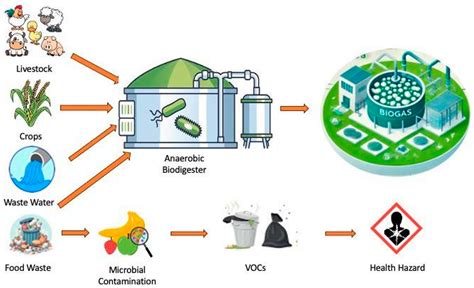 Biodigesters For Sustainable Food Waste Management Biodigesters For Sustainable Food Waste Management