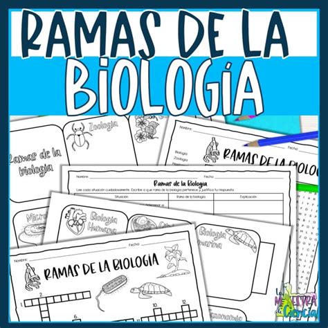 Biology in Spanish: Mastering the Science Language
