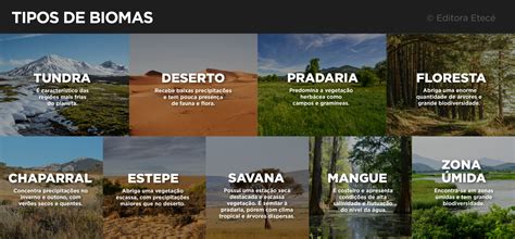 Bioma Tundra Principais Caracter Sticas Localiza O E Clima Bioma Tundra Principais Caracter Sticas Localiza O E Clima