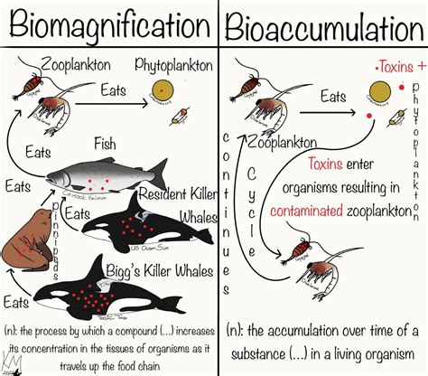 5 Bio Differences