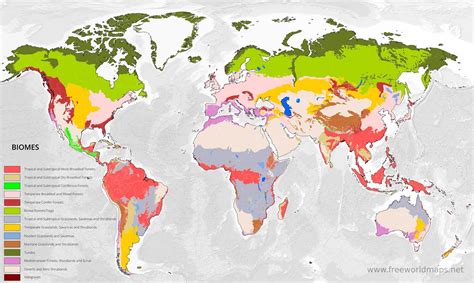 Biome Map Biomes Of The World