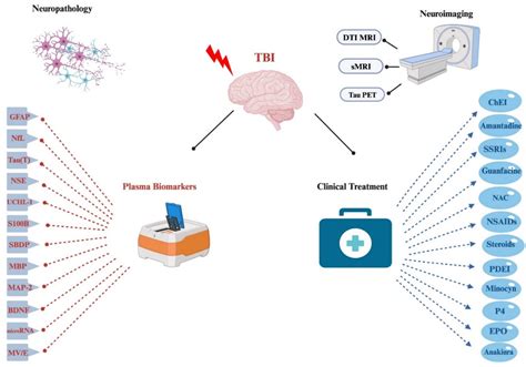 Biomedicines Free Full Text Navigating Complexity In Postural