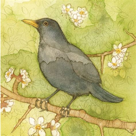 Blackbird Card By Menagerie Cards Birdwatch Ireland