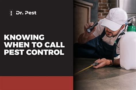 Blog Dr Pest Blog Dr Pest