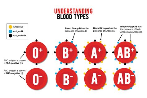 Blood Group 0 Positive