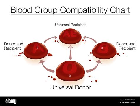 Blood Group Which Is Called Universal Recipient Blood Group Which Is Called Universal Recipient