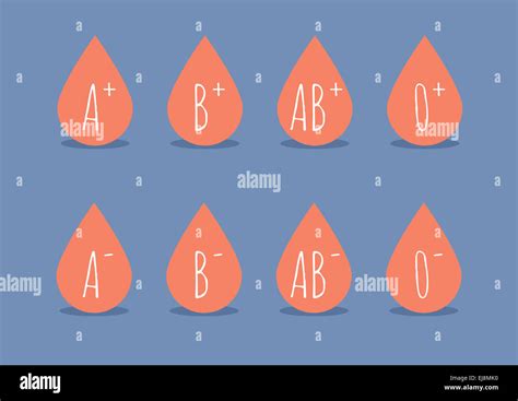 Blood Type O Positive Hi Res Stock Photography And Images Alamy
