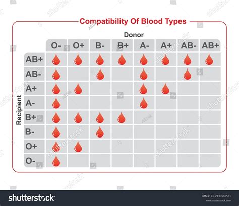 Blood: Types And Compatibility In Transfusions Anthromania, 45% Off