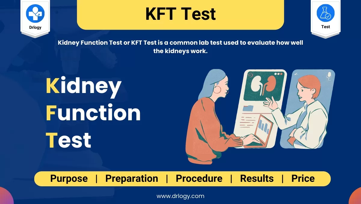 Blood Urea Nitrogen Bun Test Price Purpose Normal Range Drlogy