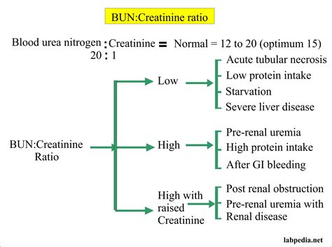 Blood Urea Nitrogen Creatinine Ratio Bun Creatinine Ratio Labpedia Net Blood Urea Nitrogen Creatinine Ratio Bun Creatinine Ratio Labpedia Net
