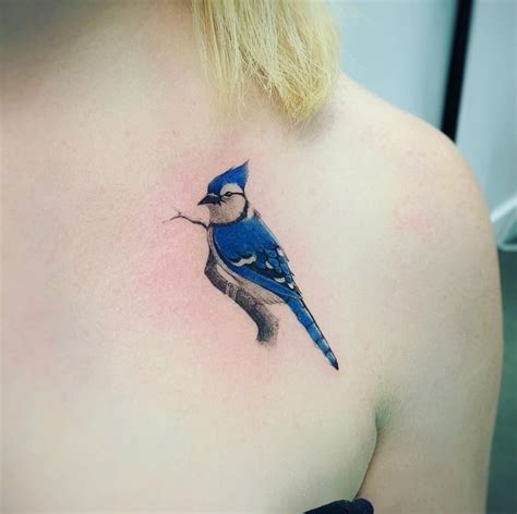 Blue Jay Bird Tattoo Http 99Tattoodesigns Com Blue Jay Bird Tattoo
