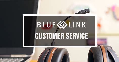 Maximize Satisfaction with Blue Link Customer Service Solutions
