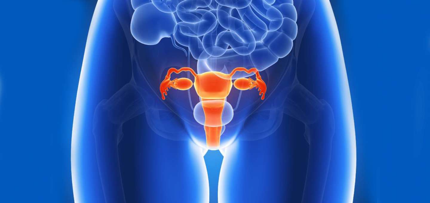 Blue Waffles Disease