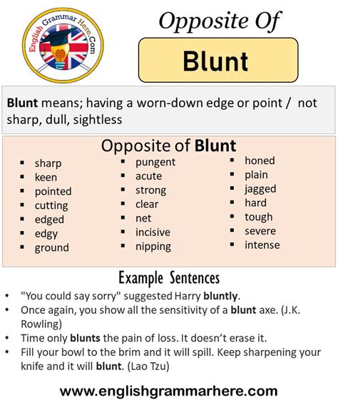 Understanding Blunt Antonym: A Guide to Contrasting Words