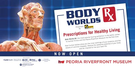 Body and World Connection