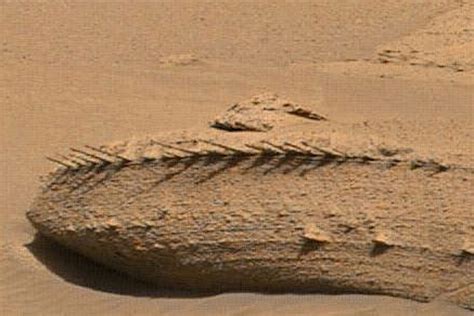 Bones Spikes Spotted On Mars Rover Image