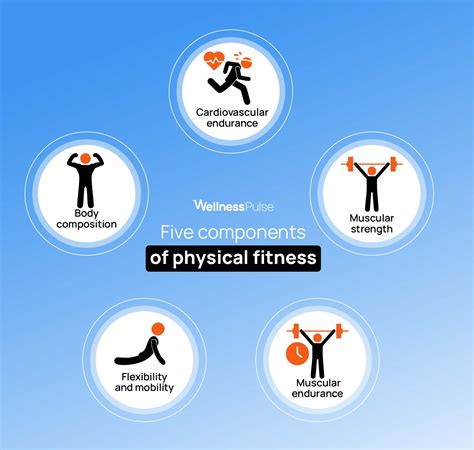 Boost Your Health 5 Key Components Of Physical Fitness